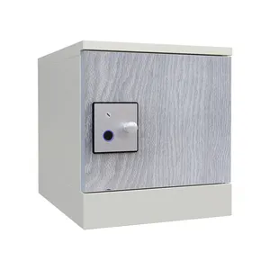 new smart locker DIY assembly innovation high strength HIPS engineering plastics self service storage solution durable cabinet