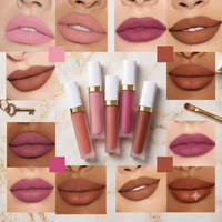 Fournisseur de rouge à lèvres liquide personnalisé, fini mat doux, formule hydratante, couleur à lèvres longue tenue, usine de maquillage OEM ODM, marque privée
