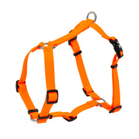 Laisse pour chien en ruban enduit de PVC, sangle de poitrine en forme de I, imperméable, extensible, traction réglable, harnais pour chien, entraînement de marche pour animaux de compagnie