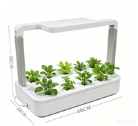 Kit Tanam Hidroponik Pintar 2 Tanaman untuk Herbal dan Buah di Rumah, Pompa LED 24W Timer 3 Mode Stand yang Dapat Diperpanjang