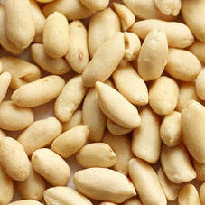 Hochwertige chinesische getrocknete Erdnüsse gerösteter Kern Hot Sale für Snacks - Product Image 4