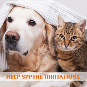 TOUCHPAW Champú Limpiador <span class=keywords><strong>para</strong></span> Cachorros <span class=keywords><strong>y</strong></span> Gatitos Tratamiento de Piel Sensible sin Lágrimas <span class=keywords><strong>para</strong></span> Perros Gatos Abrigo Cuidado de Mascotas Champú Orgánico - Product Image 5