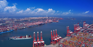 Servizio di trasporto merci marittimo Multi-schema conveniente per il trasporto marittimo di qualità professionale porta a porta per il mondo per FCL - Product Image 6