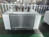 Transformateur triphasé immergé dans l'huile 300 kVA 10 kV/0,4 kV Type submersible ISO CE pour 50/60 Hz pour la distribution d'énergie urbaine