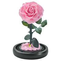 Cadeaux pour la fête des mères Fleurs de roses éternelles naturelles faites à la main Roses préservées éternelles dans un dôme en verre pour maman, femme et petite amie
