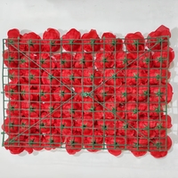 Panneau mural de fleurs artificielles en rose rouge de qualité supérieure pour la décoration de mariage, de fête ou d'événement