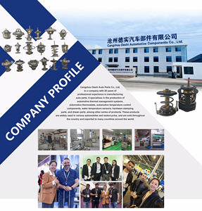 Termostato di alta qualità MD972903 MD972905 MD972905 MD001370 per motori Kubota V1505 V1702 D905 V1902 V2203 - Product Image 5