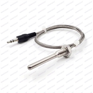 Đồng thau thép không gỉ SS304 SS316 thăm dò PT100 <span class=keywords><strong>pt1000</strong></span> cảm biến nhiệt độ với M3 M4 M6 M10 chủ đề - Product Image 1