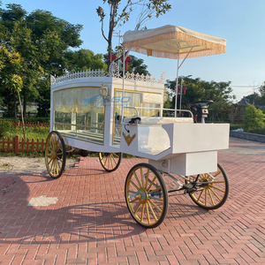 รถศพไฟฟ้าสุดหรูระดับพรีเมียมสำหรับงานศพ - Product Image 6
