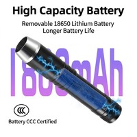 Lampe torche porte-clés en alliage d'aluminium UV haute précision JY37, testeur de diamants et de pierres précieuses à longueur d'onde réelle, sans lumière visible, 700 lumens