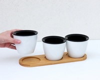 Petits Pots d'intérieur et d'extérieur pour plantes, jardin, arrosage automatique pour herbes, fleurs et plantes succulentes, en plastique blanc