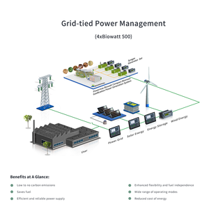 Alta temperatura. Filtro Biowatt 500 Sistema de generación de energía de biomasa compacta Planta de energía térmica Madera Caldera de gas industrial Madera - Product Image 4