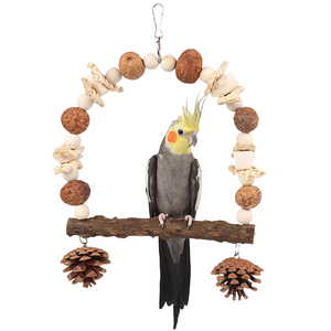 Set di altalena pappagallo di lusso noci pigne di frutta selvatica ossa di seppia pepe legno-giocattoli da masticare per animali domestici di alta qualità alleviano la noia - Product Image 1