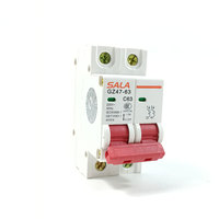 Disjoncteur miniature 2P 63A en gros, courbe C, protection contre les surcharges et les courts-circuits