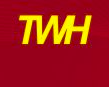 YIFU TAIGENE AUTO MOBILE ELECTRIC CO., LTD. logo