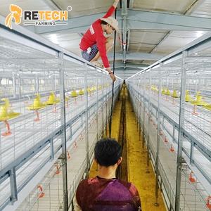 H kandang ayam Broiler 4 tingkat Tipe 4, dengan sabuk penghilang pupuk kandang untuk Broiler 40000 - Product Image 1