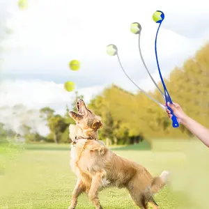 Diskon besar Amazon perlengkapan latihan hewan peliharaan lempar bola mainan anjing interaktif & gerakan hewan peliharaan luar ruangan anjing