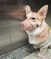 Muselière pour chien OEM anti-morsure et anti-aboiement en sangle de polypropylène souple, respirante, solide et écologique pour accessoires pour chiens - Fournisseur