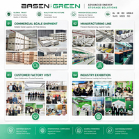 BASENGREEN EU 51.2v 48V 300Ah 628ah Lityum Pil Paketi 32kwh 30kwh Güneş Enerjisi Sistemi 51.2v LiFePO4 Enerji Depolama Pili
