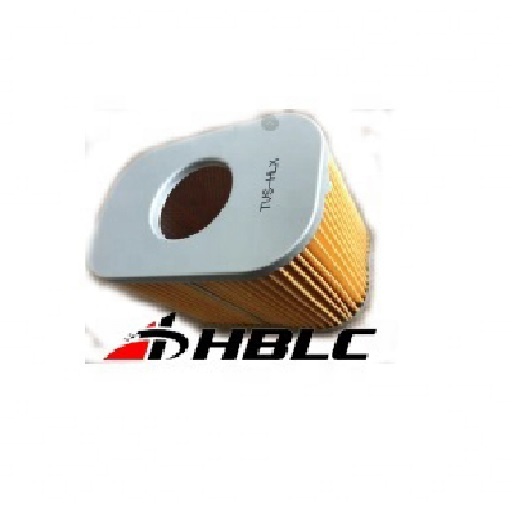 Оптовая продажа мотоциклов Воздушный фильтр для трех колесный TVS-HLX