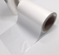 Film en rouleau de nylon BOPA holographique métallisé en aluminium, dernière nouveauté, pour la fabrication de ballons gonflables, vente en gros