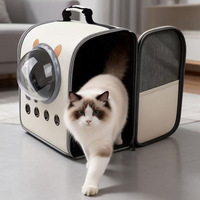Sac à dos de transport pour chat en tissu Oxford, portable, pour extérieur, grande capacité, motif ours, capacité 5 kg