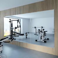 Miroir de gymnastique surdimensionné de mur de verre de corps pleine longueur sans cadre noir argenté grande taille pour l'équipement d'exercice de mur