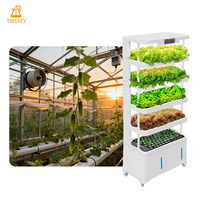 Système hydroponique intelligent gratuit pour la culture verticale de légumes à feuilles vertes en milieu commercial, à condition de commander 1 tonne d'engrais hydroponique.