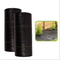 Agriculture désherbage, barrière contre les mauvaises herbes biodégradable, tapis contre les mauvaises herbes plants de fraises