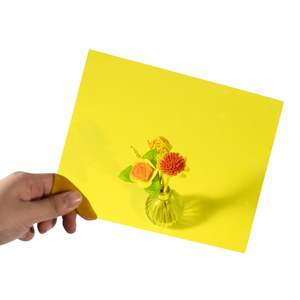 Feuille solide en polycarbonate vierge à 100 %, résistante aux intempéries, de haute qualité, couleur et taille personnalisées, pour extérieur, garantie 10 ans - Product Image 2