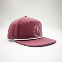 Casquette de baseball et de golf sportive à 6 panneaux, découpée au laser, avec logo personnalisé brodé à la main, style Dobby Dot, réglable, imperméable et à visière plate