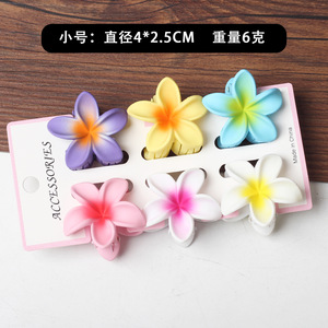 Ensemble de 6 pinces à cheveux en plastique de 4 cm, design européen et américain, motif floral élégant et mignon, pour queue de cheval, accessoires de <span class=keywords><strong>mariage</strong></span> pour femmes - Product Image 5