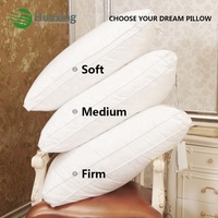 Literie hôtel qualité Literie de luxe Collection Dormir RDS confirmé Oreillers de lit blanc Duvet Plume moelleux Oreiller