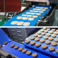 Bande transporteuse en PU bleu de qualité alimentaire Annilte pour la refroidissement des biscuits