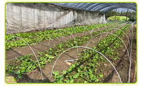 แถบไฟเบอร์กลาส,แถบไฟเบอร์กลาสไฟเบอร์กลาสยืดหยุ่นแถบไฟเบอร์กลาส - Product Image 6