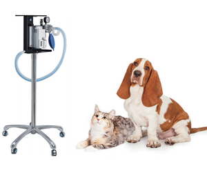 Máquina de Anestesia <span class=keywords><strong>Veterinaria</strong></span> Portátil con Vaporizador UK para Perros, Gatos, Hospitales de Animales, Clínicas Veterinarias, Anestesia <span class=keywords><strong>Veterinaria</strong></span> - Product Image 4