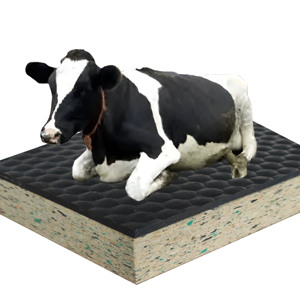 Bò Tủ thảm/bò Nệm/cao su bọt Tủ nệm - Product Image 1