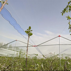 <span class=keywords><strong>Filet</strong></span> <span class=keywords><strong>anti</strong></span>-<span class=keywords><strong>grêle</strong></span> à fil mono <span class=keywords><strong>Filet</strong></span> <span class=keywords><strong>anti</strong></span>-<span class=keywords><strong>grêle</strong></span> agricole <span class=keywords><strong>Filet</strong></span> en plastique HDPE 25% <span class=keywords><strong>ombrage</strong></span> - Product Image 5