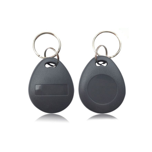 Custom Mini 125kHz TK4100 T5577 Keychain Blank Keyfob ABS RFID NFC Key Tags with Logo - Product Image 1