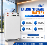 Kit de boîtier de batterie DIY 48V LiFePO4 16S, boîtier de batterie vide avec affichage LCD BMS pour stockage d'énergie solaire domestique, cellules 280Ah 314Ah