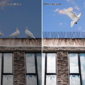 Huisdierenbescherming tegen vogels, balkon vogelafschrikmiddel, roestvrijstalen veer - Product Image 3