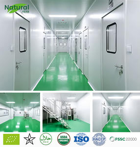 OEM Private Label Immune e Anti-fatica gommose CoQ 10 gommose aiuta la produzione di energia cellulare a sostenere la salute del cuore - Product Image 3