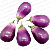 Modèle réaliste d'aubergine ronde factice pour la télévision, le cinéma, la photographie de scène, l'affichage en cuisine et l'échantillon pédagogique