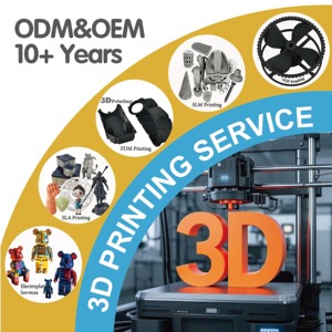 Servizio di Stampa 3D Industriale, Prototipazione Rapida di Parti in PLA/PETG/ABS, Servizi di Stampa 3D FDM Colorata - Product Image 3