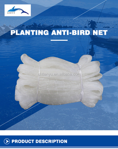 Nông nghiệp sử dụng cây ăn quả Nylon chống côn trùng <span class=keywords><strong>Bird</strong></span> lưới với chất lượng cao - Product Image 4