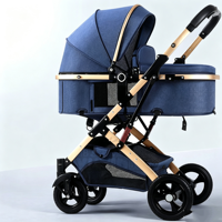 Poussette réversible haute vue pour bébé, cadre en acier inoxydable, légère, pliable, multicolore, 0-3 ans, extérieur