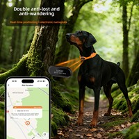 Localisateur d'animaux de compagnie 4G avec surveillance de la santé, suivi, collier pour chat et chien, clôture électronique antidérapante