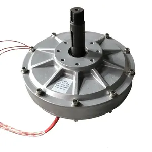 2000w 2kw 950rpm 96v 110v 220v 240v 380v iç Rotor AC PMA PMG 3 fazlı düşük RPM çekirdeksiz kalıcı mıknatıslı jeneratör alternatör