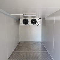 Facile assemblez la promenade réfrigérée de stockage de chambre froide dans le conteneur de refroidisseur de congélateur