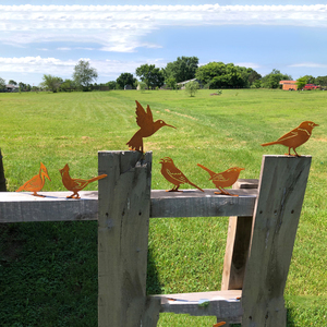 Corte láser al aire libre jardinería pájaro arte oxidado corte láser Metal silueta pájaro jardín decoración - Product Image 2